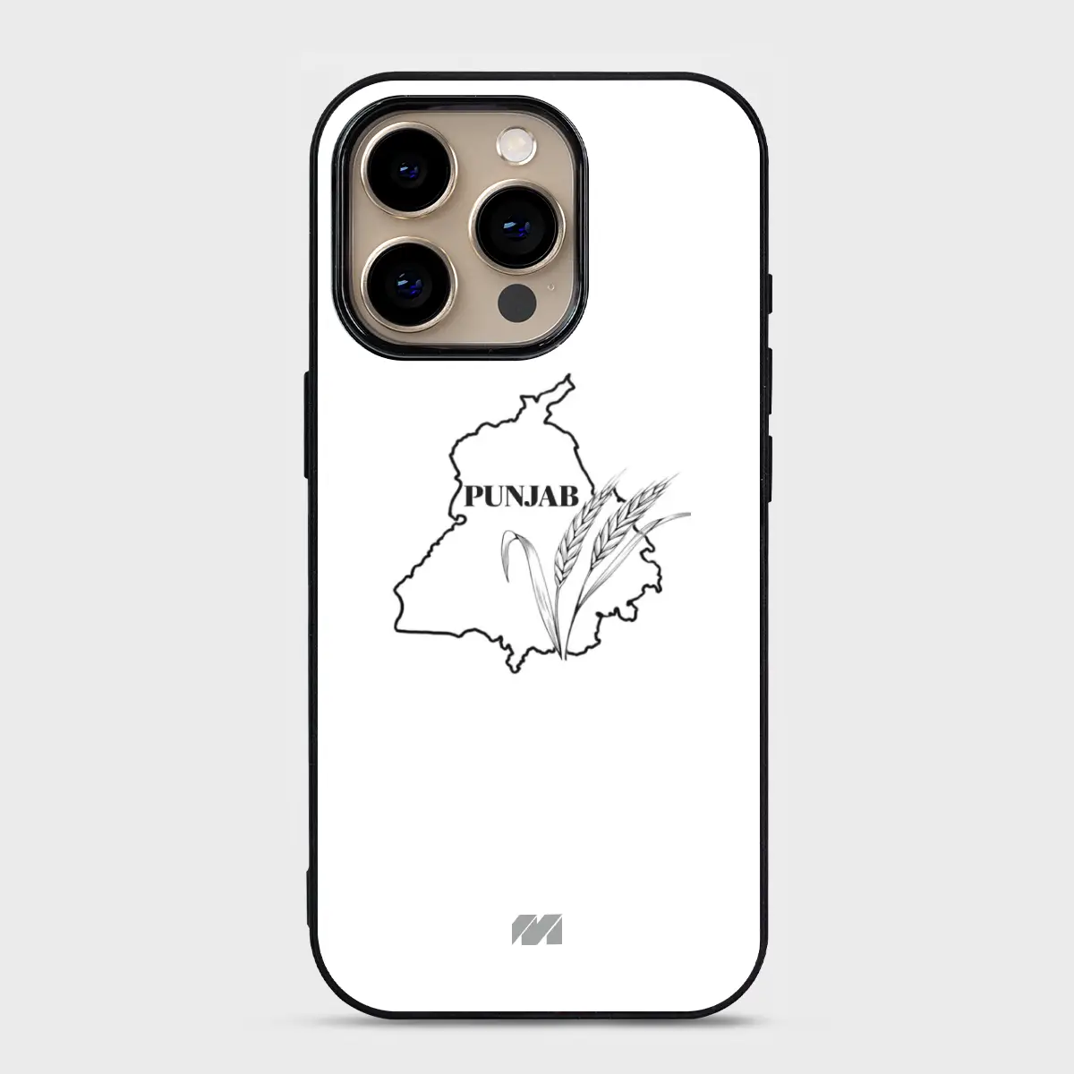 Punjab Essence - Spectra - Image 2