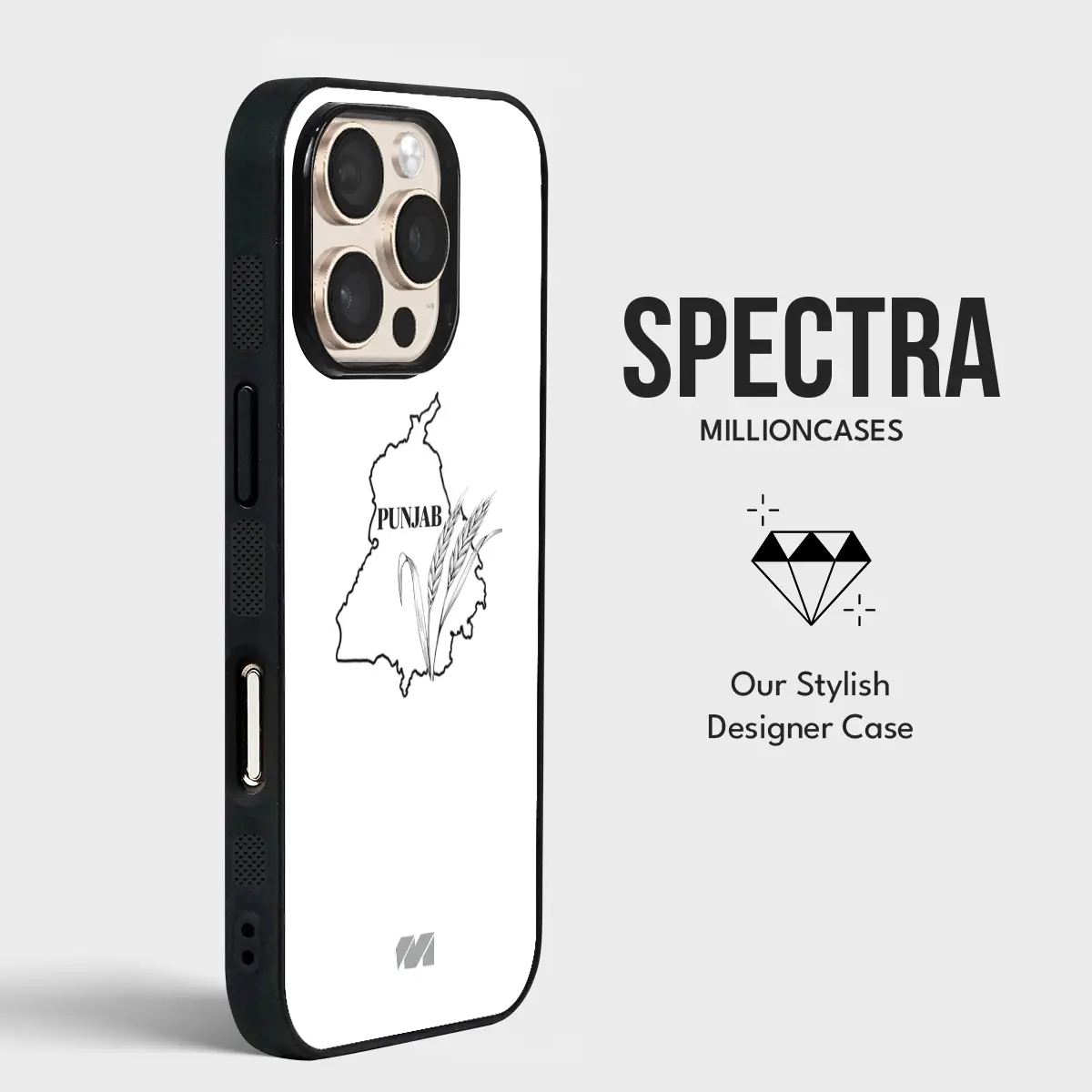 Punjab Essence - Spectra - Image 5